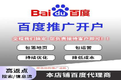 百度竞价广告投放策略：案例分析及效果评估